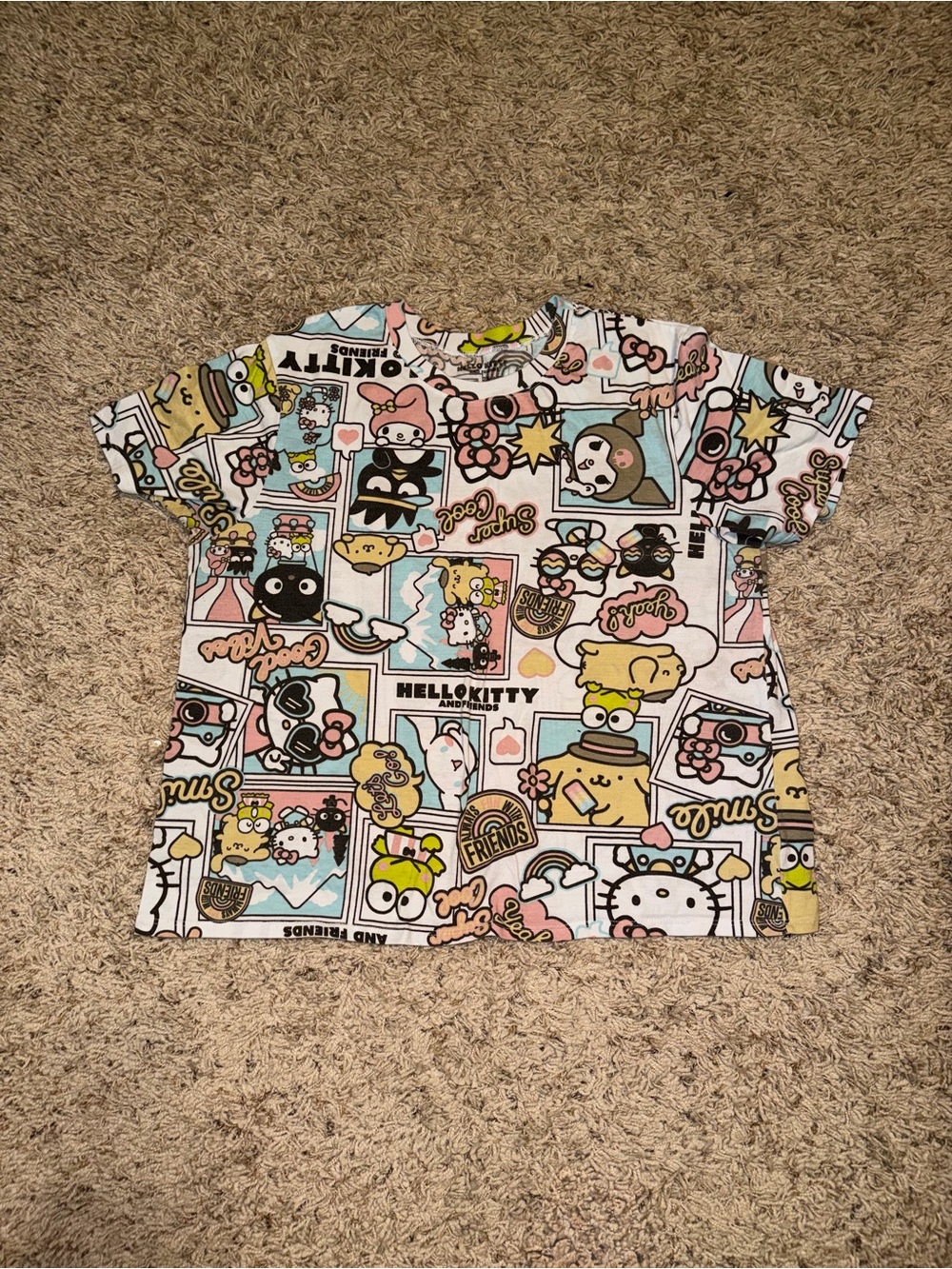 Hello kitty and friend crop Graphic Tee 2x